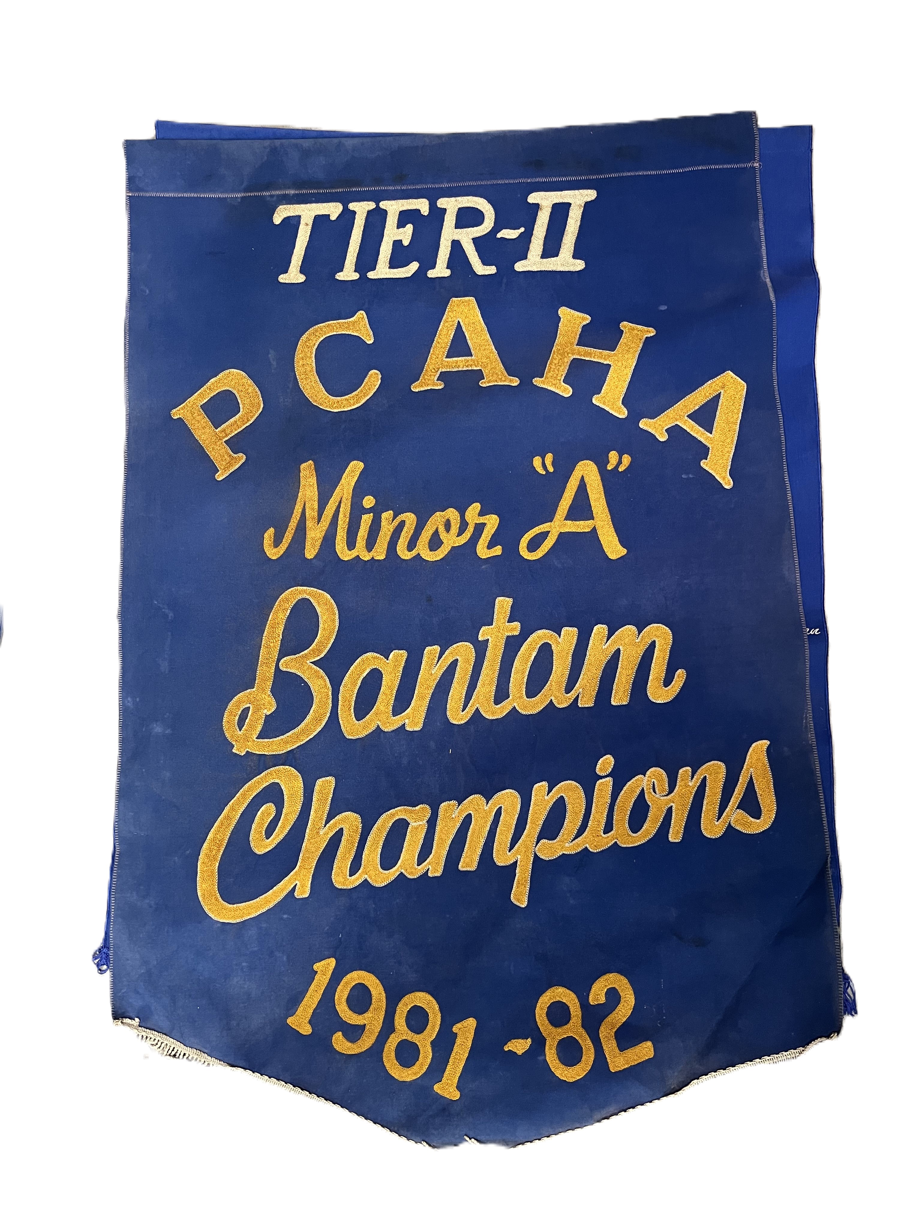 banner_1981_82_Bantam_Minor_A_Champion.jpeg