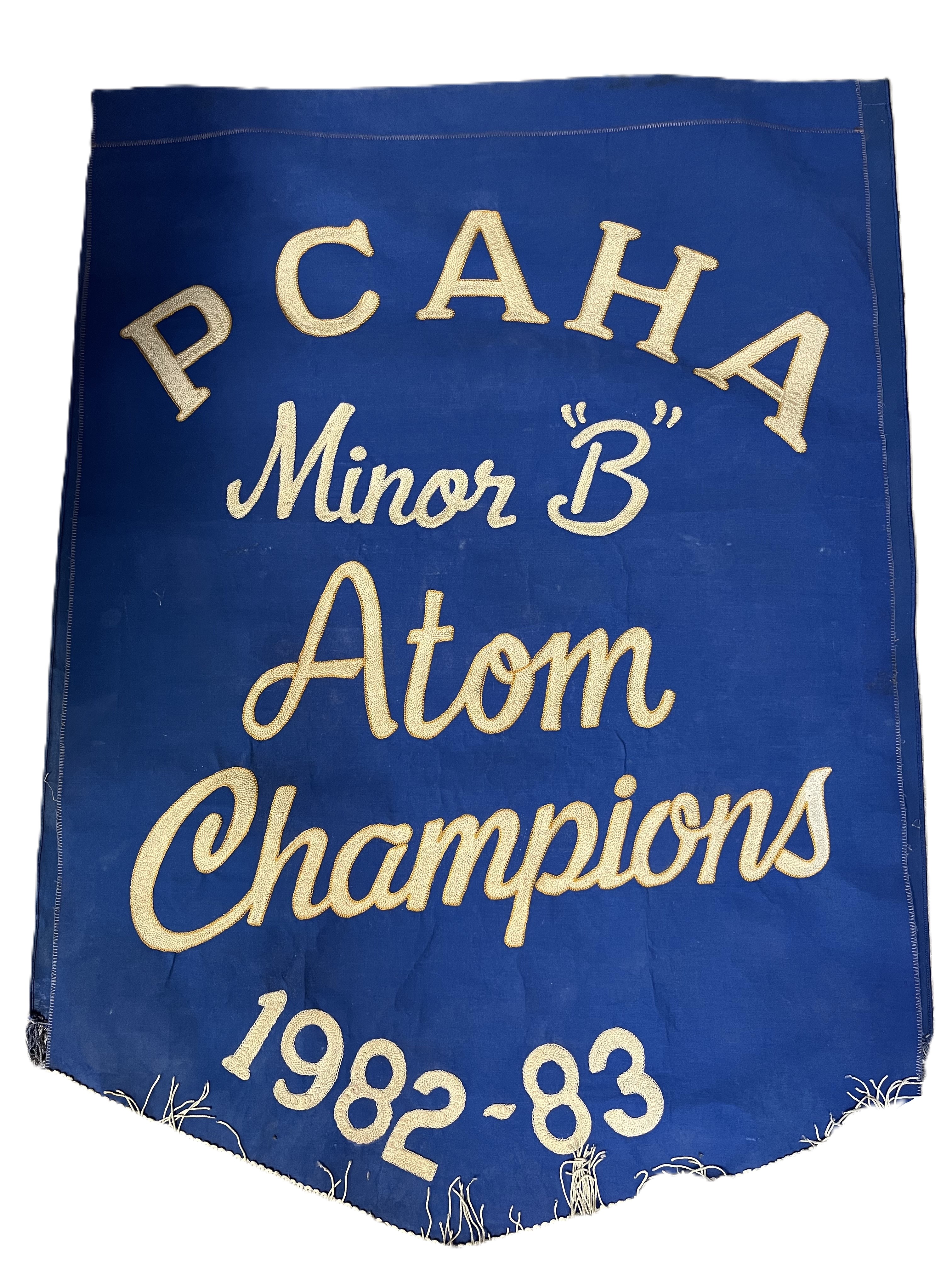 banner_1982_83_Atom_Minor_B_Champion.jpeg