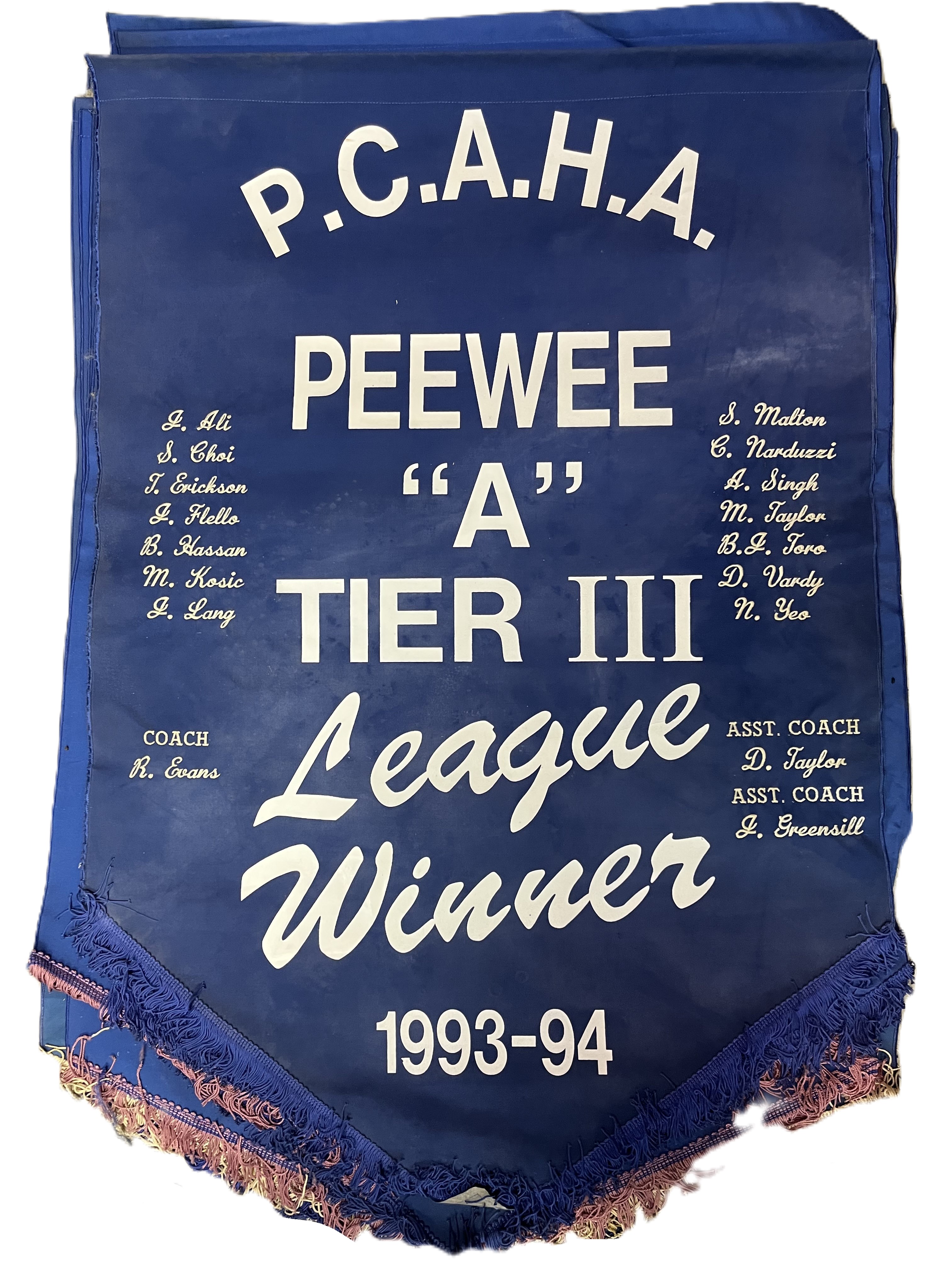 banner_1993_94_PW_A_T3_League.jpeg