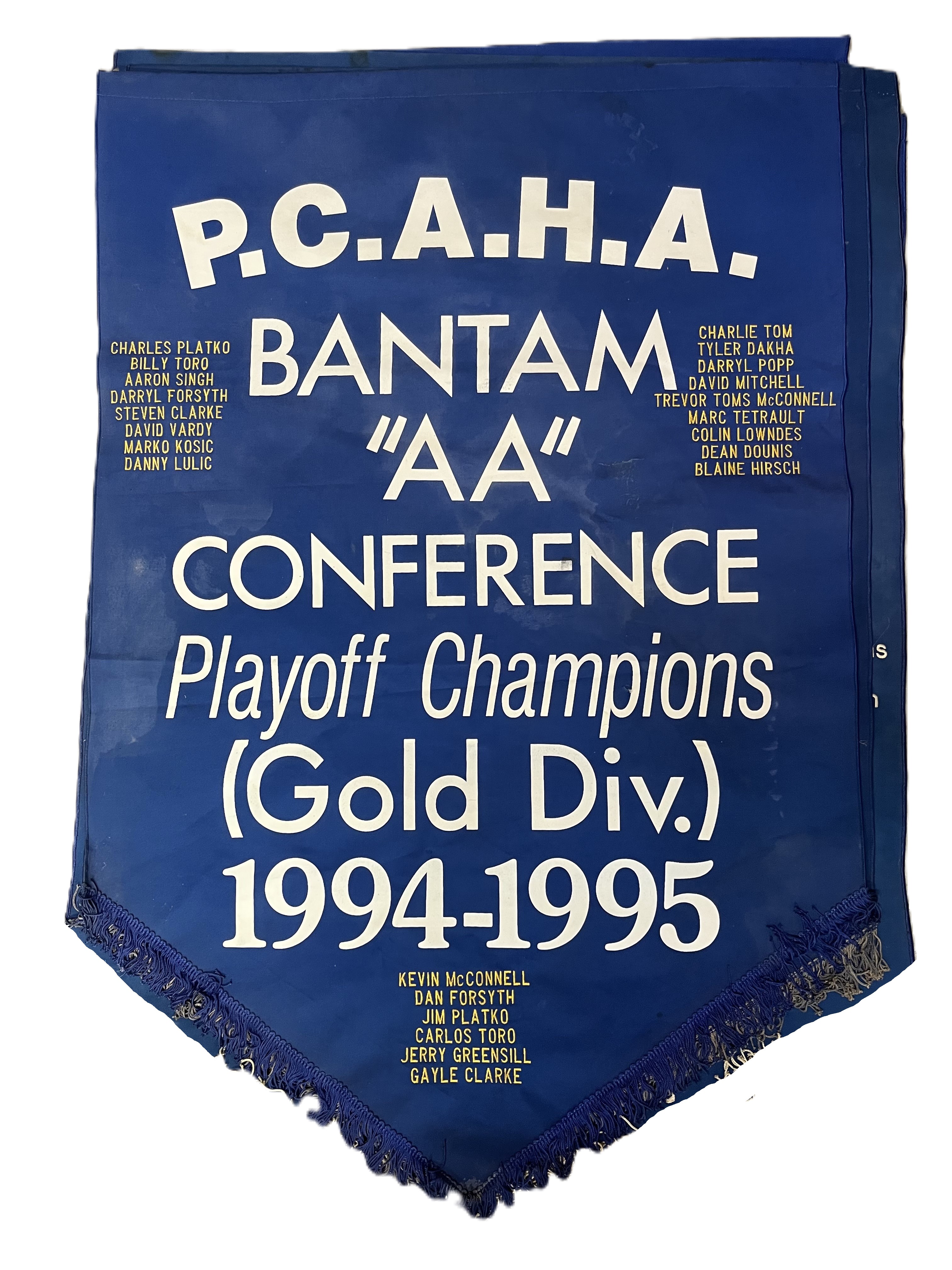 banner_1994_95_Bantam_AA_Conference_Playoff.jpeg