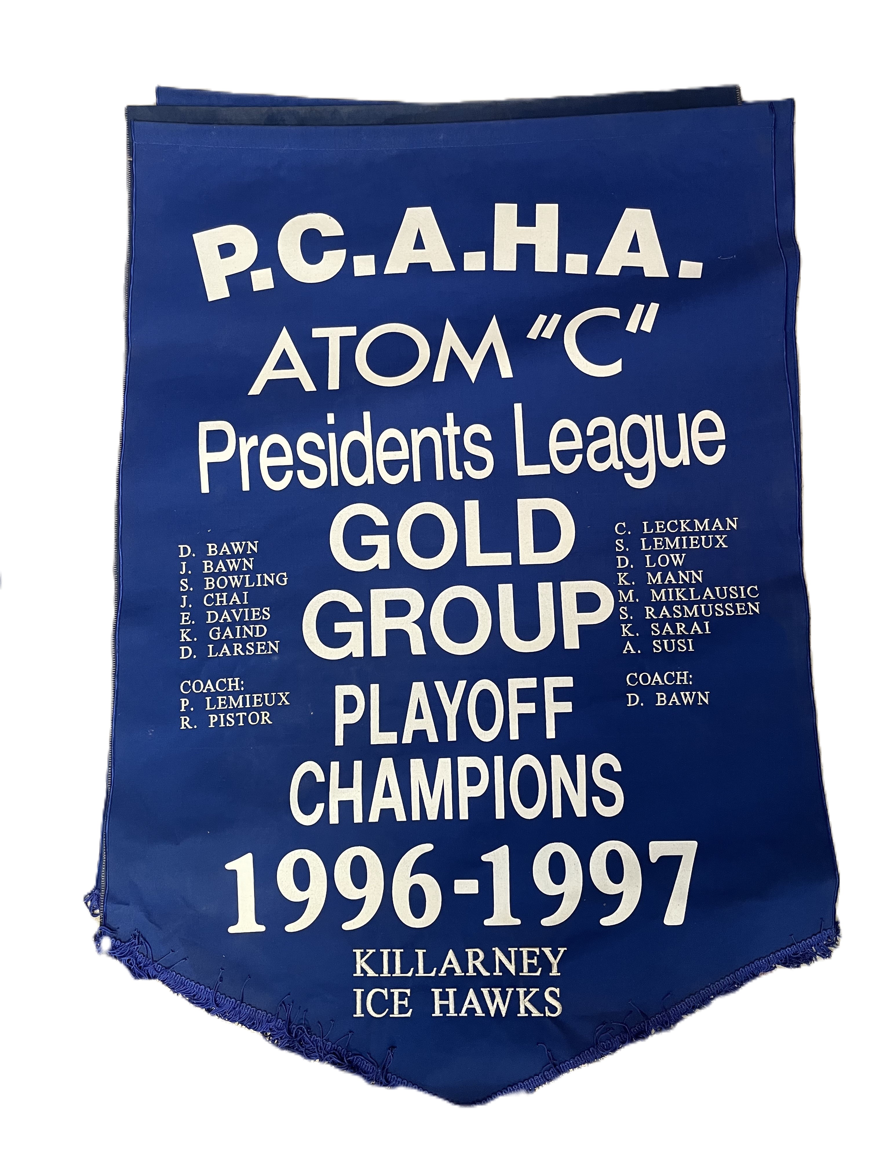 banner_1996-97_Atom_C_Playoff.jpeg