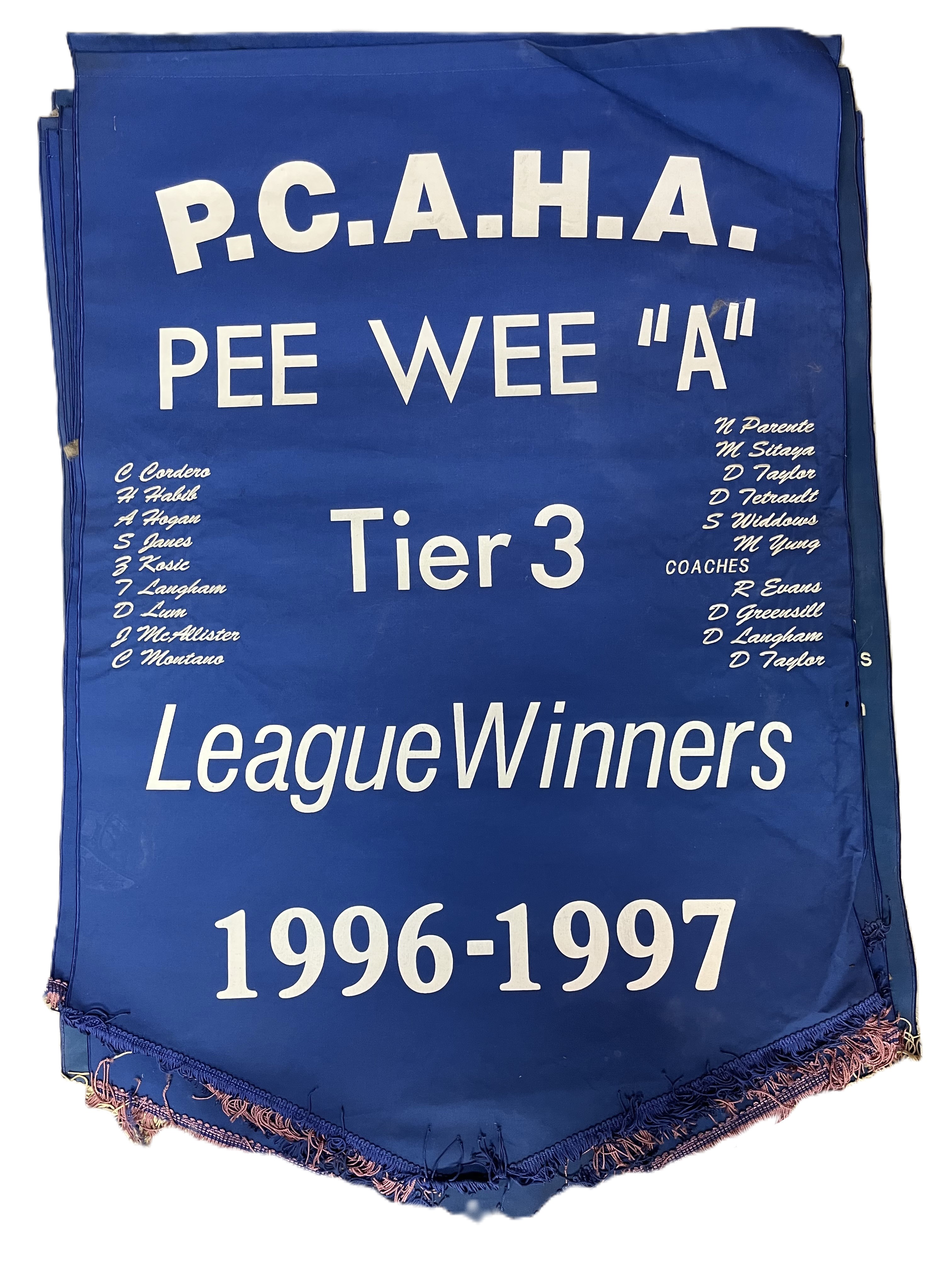 banner_1996_97_PW_A_T3_League.jpeg