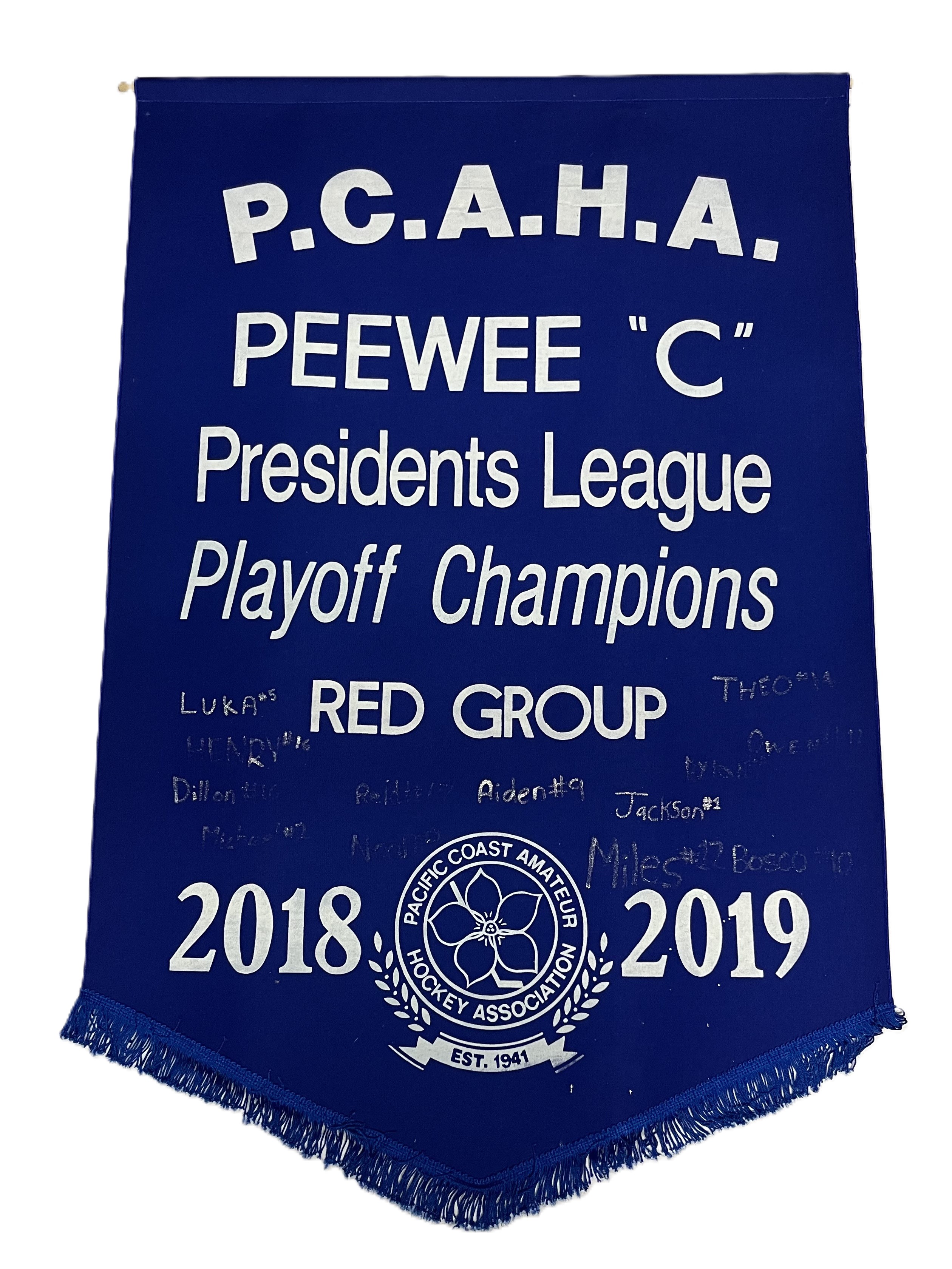 banner_2018_19_PW_C_League.jpeg